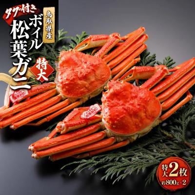 ふるさと納税 境港市 <11月中旬〜2月下旬配送予定>鳥取県産　ボイル松葉ガニ(タグ付き)特大2枚