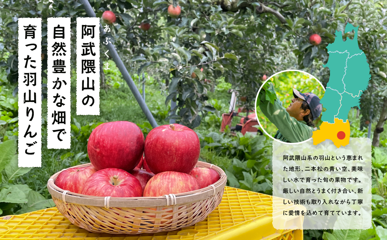 羽山のりんご ほっぺくん 大瓶（1L）2本入り りんごジュース 果汁100％ 国産 ストレート アップル 無添加 リンゴジュース おすすめ お中元 お歳暮 ギフト 二本松市 ふくしま 福島県 送料無料