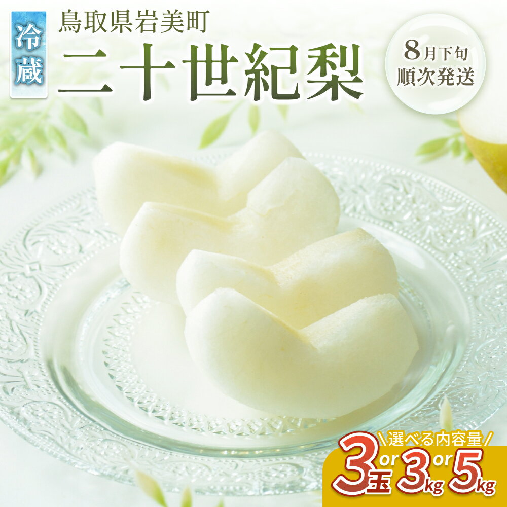 【ふるさと納税】【先行予約】中野農園 梨 ”二十世紀梨” 3玉、3～5kg ※冷蔵便｜鳥取県 梨 二十世紀梨 20世紀梨 果物 くだもの フルーツ 2026収穫 選べる 内容量 3kg 5kg 訳アリ 数量限定 旬の梨 岩美町 特産品※お届けは2026年8月下旬以降