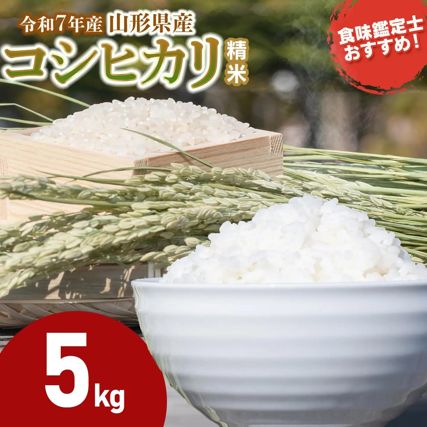 【令和7年産】 コシヒカリ 精米 5kg (5kg×1袋)　山形県産　米食味鑑定士お薦め　| こしひかり 5キロ 米 お米 コメ 白米 食品 ご飯 ごはん 美味しい おいしい ブランド米 おすすめ 人