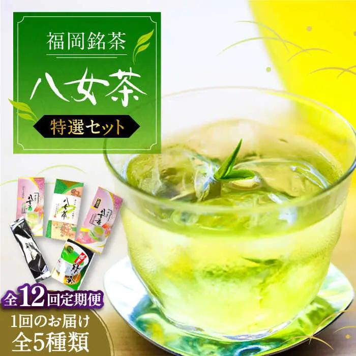 【全12回定期便】福岡銘茶 八女茶 特選セット5種 計550g VCL125