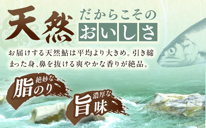 ＜冷凍＞天然あゆ 19～22cm 5匹入り（約500g） / あゆ 天然 鮎 冷凍 / 恵那市 / 恵那物産館 [AUFS009]