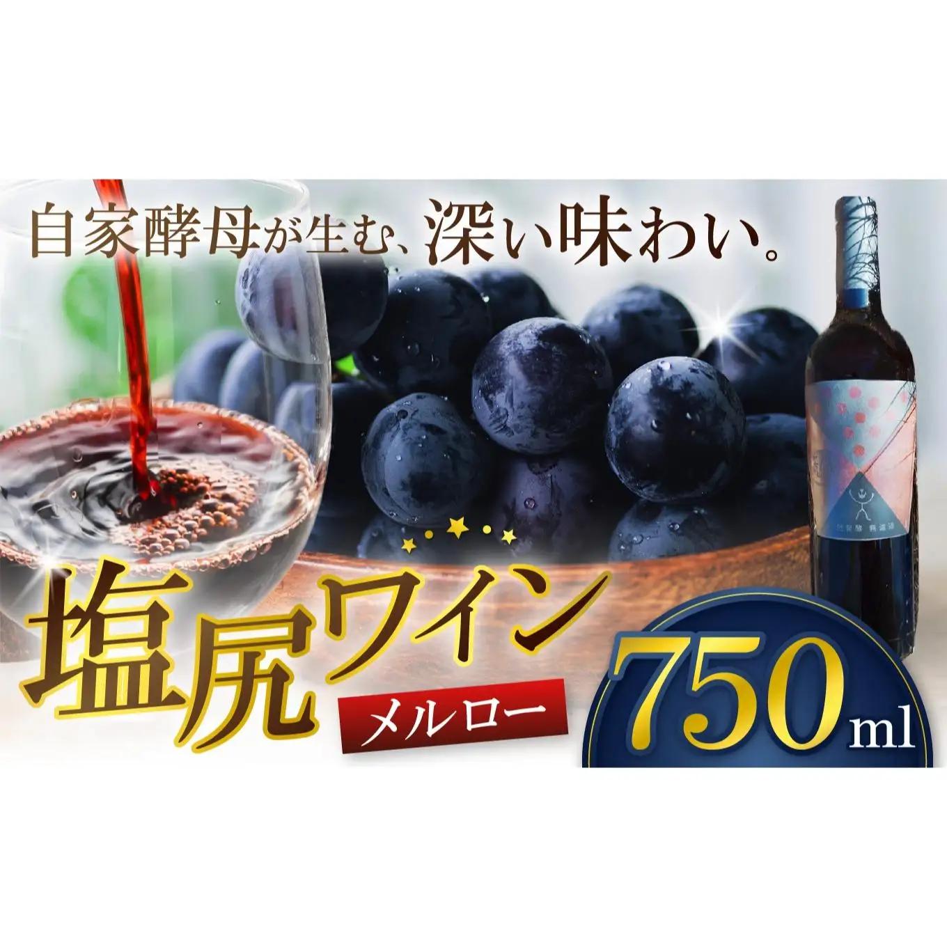 霧訪山シードル 塩尻市産 メルロー