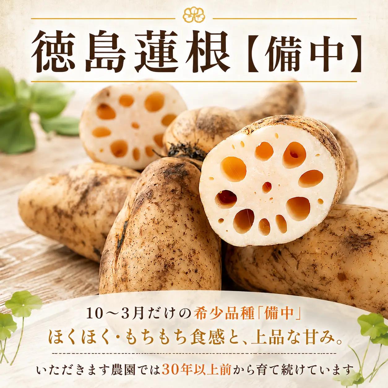 蓮根 厳選 こだわり部位セット 2.5kg