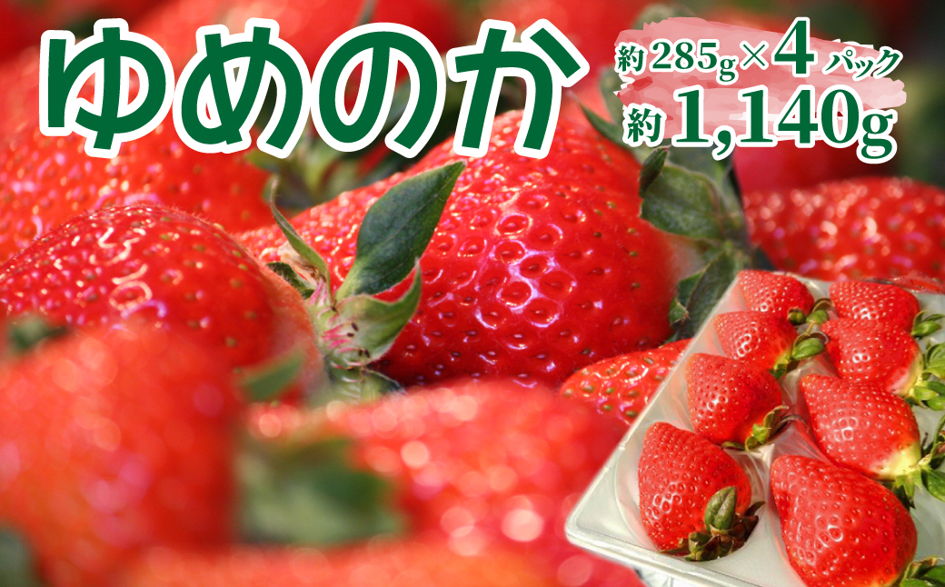 ＜2026年1月頃～3月頃発送（予定）＞【ゆめのか 285g×4パック】秀品 いちご イチゴ 苺 ストロベリー 贈答用 ギフト 佐川町産