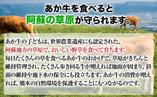 【6ヶ月定期便】【希少和牛】あか牛ハンバーグ 150g × 10個 セット KAM Brewing《お申込み月の翌月より発送開始》---so_fkmhgtei_23_76500_mo6num1---