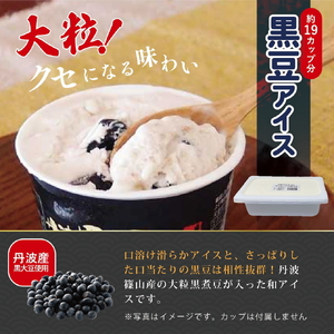 【大容量】丹波産牛乳アイスクリーム（2L×２種） アイスクリーム
