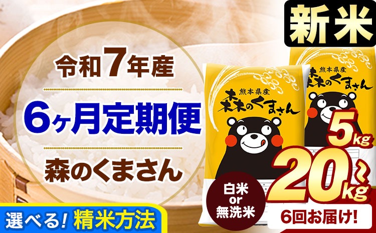 【6ヶ月定期便】新米 令和7年産 白米 無洗米 森のくまさん 5kg 10kg 15kg 20kg《お申込み月の翌月から出荷開始》 熊本県産 白米 精米 米 こめ コメ お米 kome---mifune_lcl_126_mo6num1---