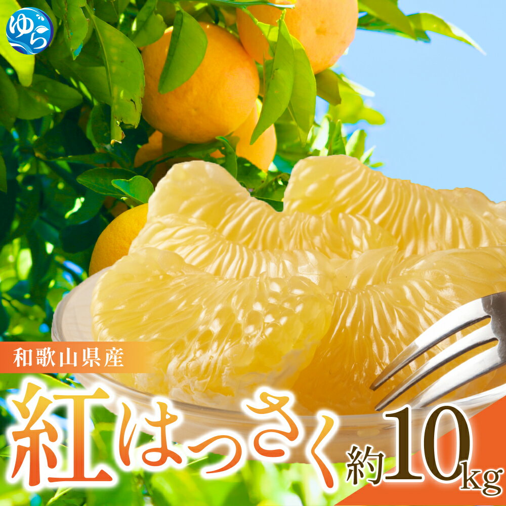 【ふるさと納税】【来シーズン先行予約】和歌山県産 紅 はっさく 不揃い 約10キロ サイズおまかせ