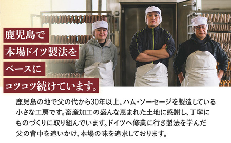 【 訳あり 】カルスコ の 乾塩ベーコン 切り落とし 800g K038-006_02 肉 お肉 ベーコン 加工肉 セット 訳あり 訳アリ 冷凍 ベーコンエッグ パスタ ふるさと納税 鹿児島 おすすめ