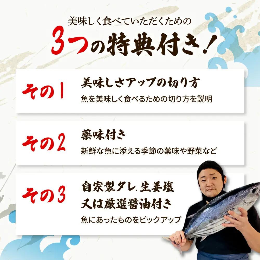 【全6回定期便】違いの分かる鮮魚店店長が送る 高知のお魚定期便！ 高知県土佐市 【さかなの森澤　マル祐】 [BQAM009]