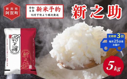 《令和8年産　新米予約》【定期便 全3回】米 5kg×3回 (計15kg) 新潟県阿賀町 津川産 新之助 令和8年産 精米 白米 15キロ 新潟県産コシヒカリ 新潟県産こしひかり 新潟県産 コシヒカリ こしひかり ごはん ご飯 新潟県 阿賀町