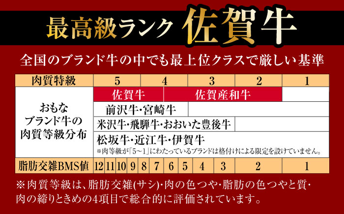 【全6回・偶数月にお届け】 A5ランク 佐賀牛 霜降り 食べ比べ 定期便 約2-3人前 総計1.95kg 10万コース 隔月発送 /焼肉どすこい [UCC008] 牛肉 肉 ステーキ ローストビーフ