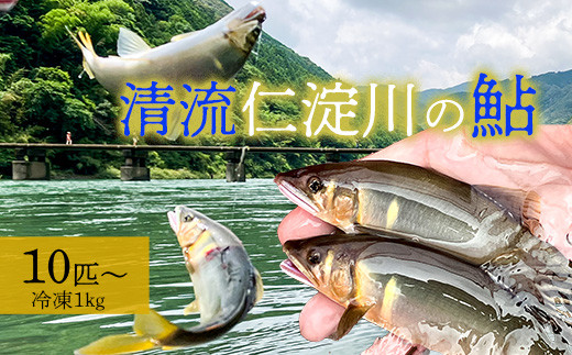 
                  鮮度にこだわり！仁淀川鮎★10尾～(冷凍1kg) ★
                