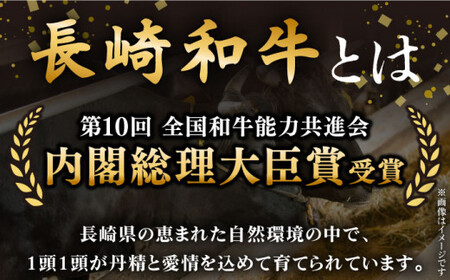 【極厚！】長崎和牛 サーロイン ステーキ 計500g (約250g×2枚)【黒牛】[QBD011] 牛肉 サーロイン 牛肉 サーロイン肉 サーロイン 牛肉 サーロイン 焼肉 BBQ サーロイン バーベ