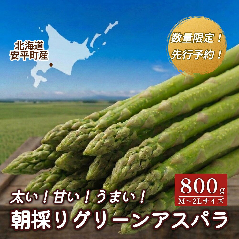 【ふるさと納税】【先行予約】グリーンアスパラ 800g サイズ混合 M〜2L 北海道 安平町 出口農園 【2027年春発送】 アスパラガス ハウス 栽培 極太 柔らかい 甘い ピーラー不要 産地直送 野菜 お取り寄せ グルメ 春野菜 期間限定 数量限定 国産 送料無料