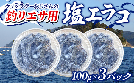 ケッツラゲーおじさんの 釣りエサ用塩エラコ100g×3パック 釣り用エサ 環形動物 三陸山田 山田町 YD-1039