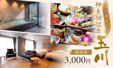 愛知渥美半島 伊良湖温泉 魚と貝のうまい宿 玉川 利用券 3千円分 旅館 旅行券 宿泊券 観光 愛知県 田原市