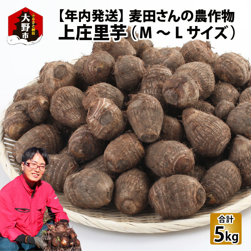 【ふるさと納税】【先行予約】【年内お届け】麦田さんの農作物　上庄里芋 5kg 　M～Lサイズ【2025年10月中旬より順次発送】[A-012001]