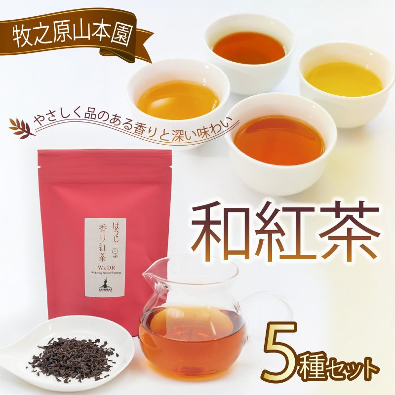 和紅茶セレクトプレミアムおすすめ5種セット