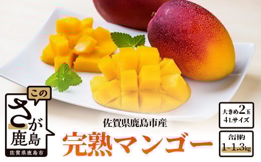 C-36 【生産者直送】濃厚完熟!まっちゃんマンゴー（大きめ4L×2玉）【2024年5月中旬頃から6月初旬発送】