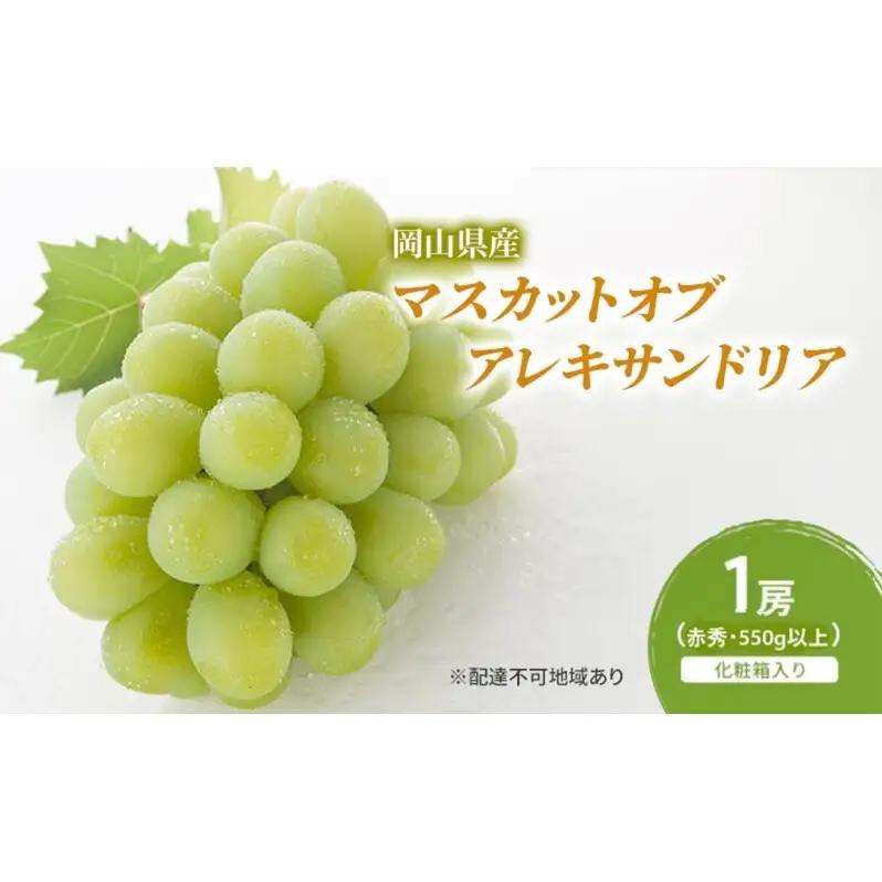 マスカット オブアレキサンドリア 赤秀 化粧箱入り マスカット【1房 550g以上】【先行予約】