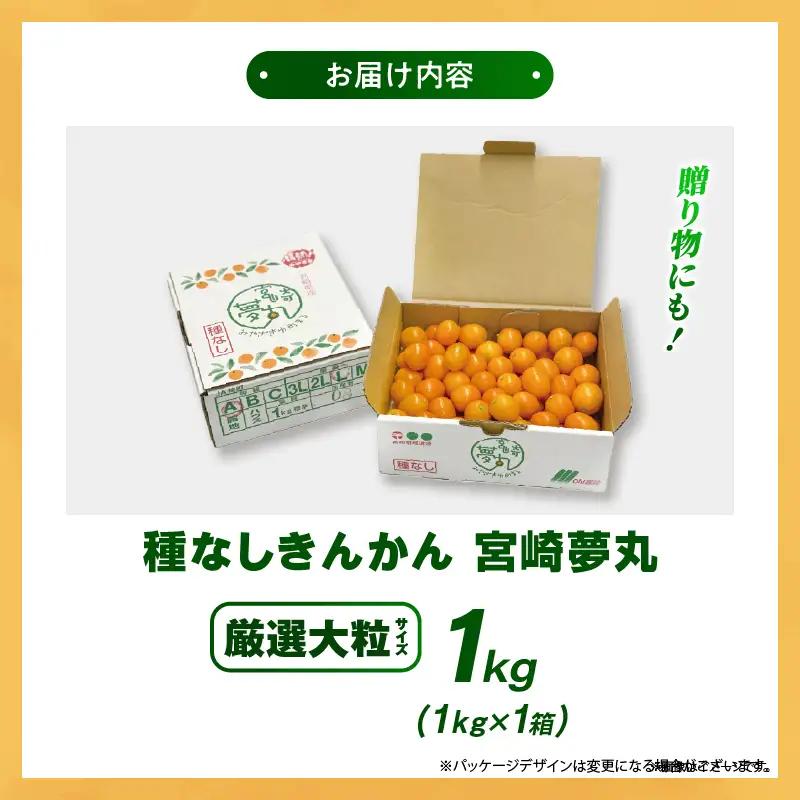 【先行予約】種なし きんかん「宮崎夢丸」（厳選大粒）1kg 数量限定 大粒 種無し 果物 フルーツ くだもの 柑橘 金柑 プレミア おすすめ ギフト 贈り物 贈答 おやつ スイーツ デザート 糖度が高