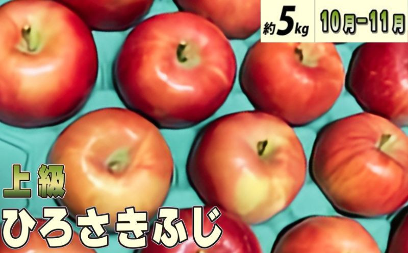 
10～11月発送 上級ひろさきふじ約5kg（葉とらず）【弘前市産 青森りんご】
