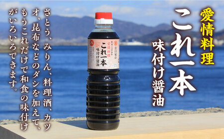 忙しいあなたに！これ1本で美味しい味付け！たっぷり6本セット（特級/白だし/味付け/あまくち減塩） ラーメン うどん ギフト 江田島市/有限会社濱口醤油[XAA003]