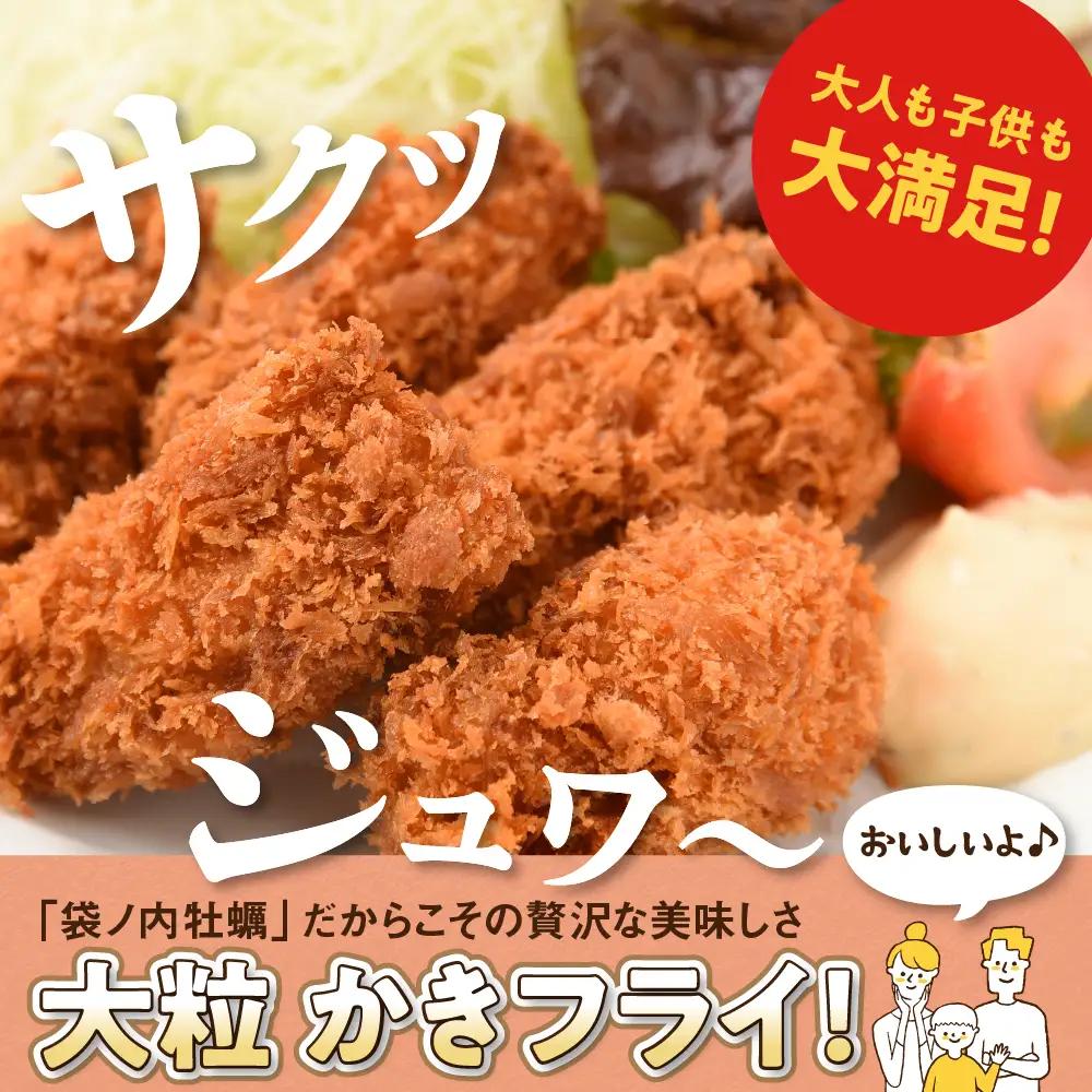 北吉水産 広島県産 冷凍 かきフライ 500g 牡蠣カキ 簡単 大粒