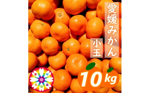 【先行受付】「 愛媛 みかん 」 小玉 約10kg《 愛咲果樹園 》【71-69】YWTS044