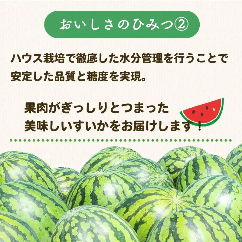 【先行予約】すいか Mサイズ 6個 ピノガール 牧之原市 静岡県 福代農園