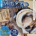 【ふるさと納税】むつ湾で獲れた活ホタテ Lサイズ 約5.5kg ＋ 天日干し帆立っ子 70gセット【活ほたて本舗】 ホタテ ほたて 帆立 活ホタテ 生ほたて 生ホタテ 刺身 殻付き 海鮮 新鮮 貝 貝柱 おつまみ 酒の肴 魚介 青森県 東北 陸奥湾 BBQ バーベキュー キャンプ F21J-097