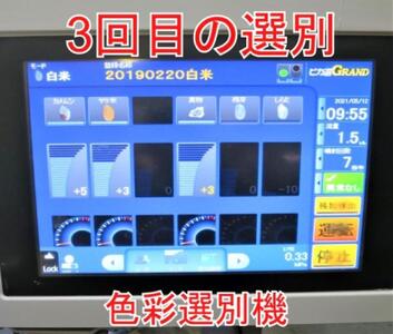 【定期便×11回】25kg 大手有名百貨店出荷米 あきたこまち 令和6年産米