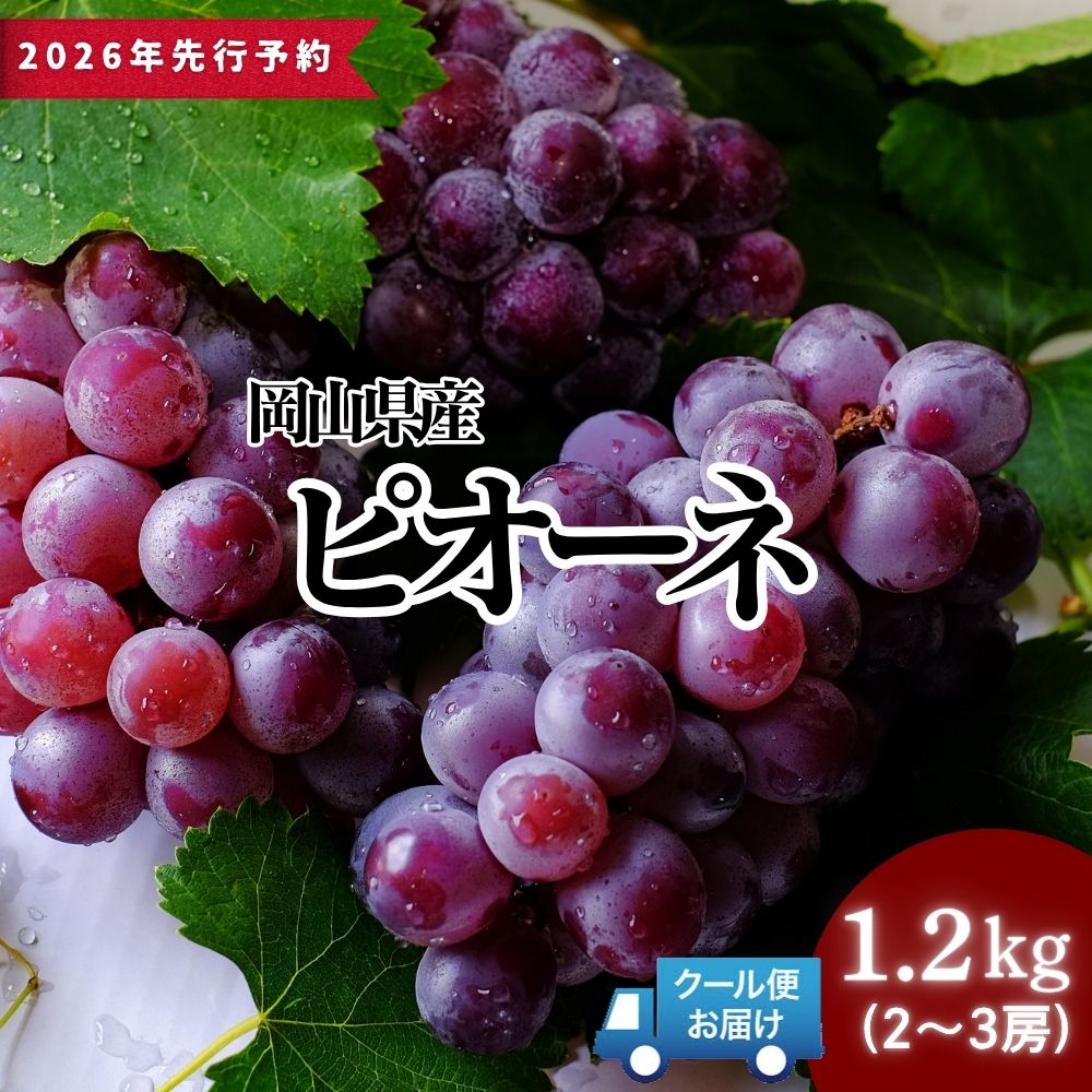 【ふるさと納税】＜2026年発送先行予約＞岡山県産 ピオーネ 1.2kg以上（2～3房） 2026年9月初旬頃から順次発送予定 大粒 高糖度 フルーツ 果物 くだもの 巨峰 ぶどう ブドウ 葡萄 岡山県 高級 人気 送料無料［025-a022］