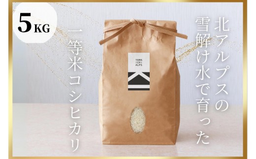 【令和8年度産】北アルプスの雪解け水で育った一等米コシヒカリ 5KG｜ 米  老舗農家 産地直送 人気 おすすめ  白米 ご飯 和食 ギフト 送料無料 長野県 大町市 ふるさと納税