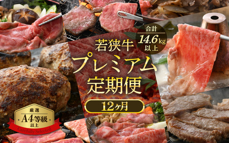 【定期便12ヶ月】 肉好き満足！和牛 若狭牛ボリューム満点 厳選 食べ比べ計14.6kg以上 [e02-r001]