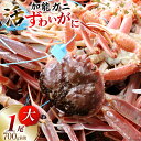 【ふるさと納税】【能登半島 漁協直送！】活 加能ガニ 1尾(大サイズ)計 700g 前後[JF西海 石川県 志賀町 AM4225] 蟹 カニ かに ズワイガニ