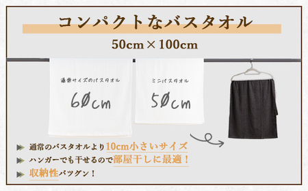 【泉州タオル】部屋干しに最適！ミニバスタオル 3枚セット（同色） ｜ ビッグフェイスタオル コンパクトバスタオル 小さめ バスタオル スマートサイズ ハンガー 干せる 部屋干し 速乾 収納 吸水 髪 