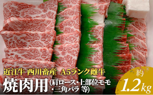 
【近江牛 西川畜産】A5ランク雌牛 焼肉用 約1.2kg （肩ロース・上部位モモ・三角バラ等）
