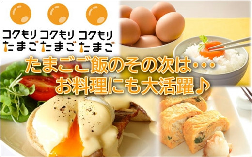 養鶏場直送!松浦の赤たまご(40個)【B1-125】 たまご タマゴ 卵 赤たまご M Ｌ ML M〜L Mサイズ Lサイズ 卵かけごはん