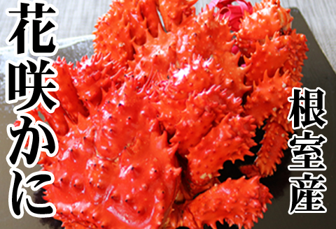 【北海道根室産】花咲かに500～650g×6尾 D-70046