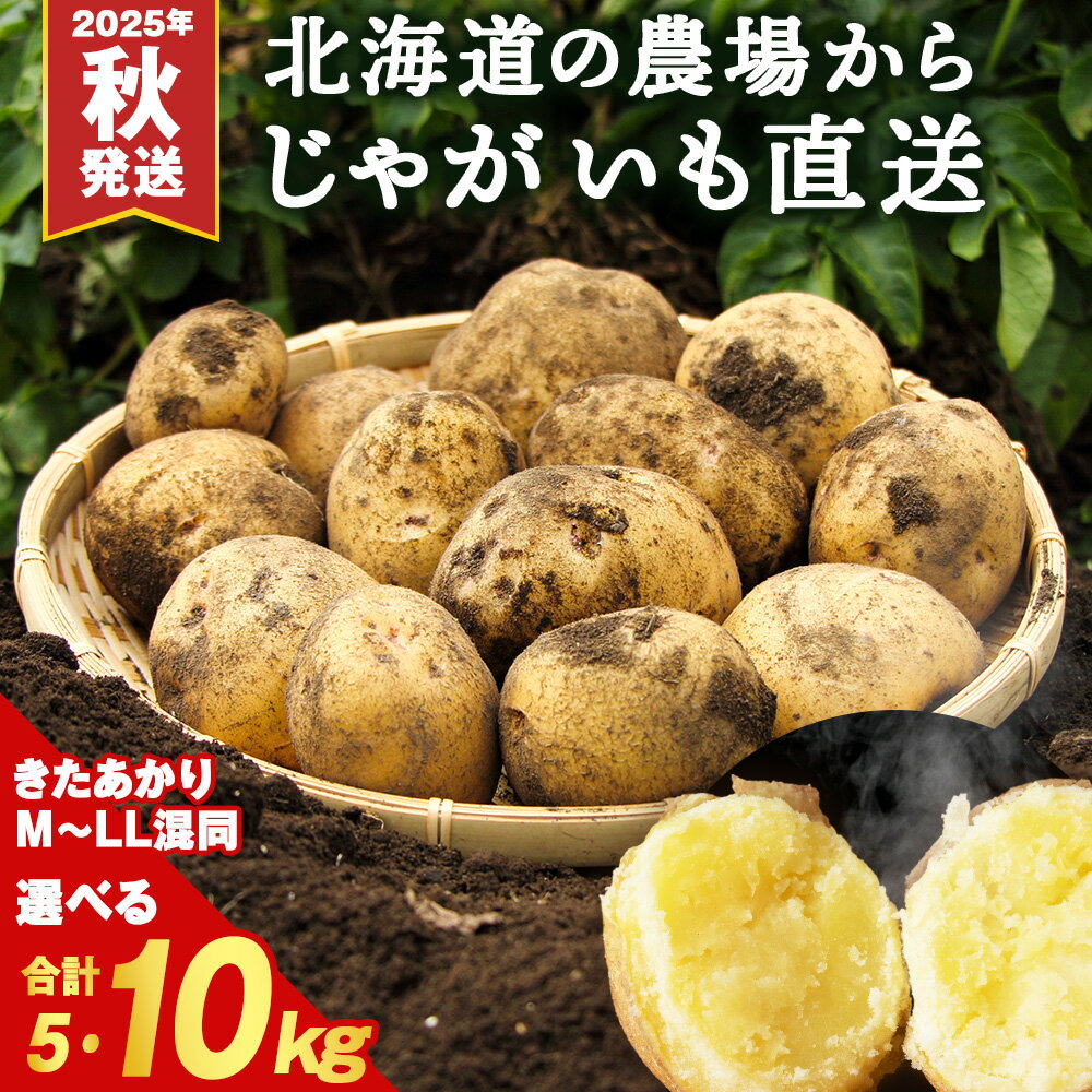 【ふるさと納税】【2025年秋発送予約】数量限定 じゃがいも 選べる5kg・10kg 北海道 きたあかり ジャガイモ 芋 いも北海道ふるさと納税 積丹町 ふるさと納税 北海道 サイズ混同 野菜 通販 ギフト 贈答品 贈り物