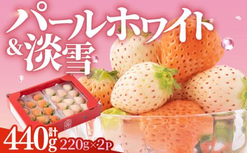 【2026年1月以降発送】【産地直送】白石産 希少 白いちご「淡雪」＆「パールホワイト」食べ比べ セット【ハヤシだファーム】イチゴ [ICQ001]