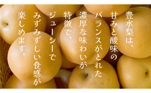 豊水 約5kg（茨城県共通返礼品：かすみがうら市） 【2026年9月上旬発送開始】 梨 数量限定 なし ナシ フルーツ 果物 旬 産地直送 [FF004sa]