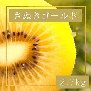 さぬきゴールド キウイフルーツ2.7kg【予約受付中！令和8年10月中旬頃より発送！】【B-60】