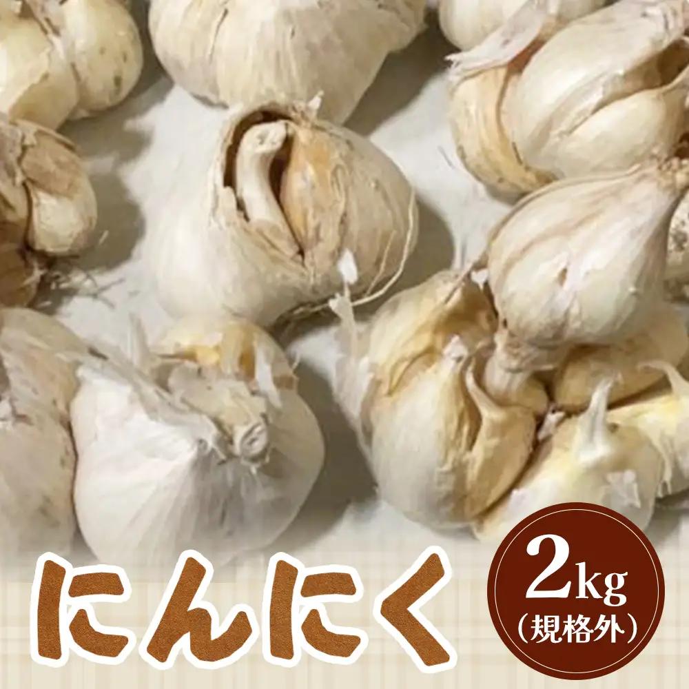 【先行受付】にんにく2kg（規格外）【令和8年8月～12月発送】【1200302】