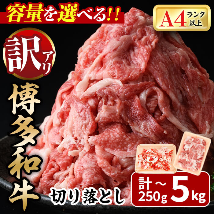 【ふるさと納税】＜容量を選べる！・訳あり＞博多和牛 切り落とし(計250g～5kg) 牛肉 黒毛和牛 国産 化粧箱 贈答 ギフト プレゼント 小分け ＜離島配送不可＞【ksg0290・ksg0520・ksg1924・ksg1925・ksg1926・ksg1927】【MEATPLUS】