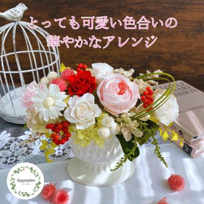 ふるさと納税 春日部市 プリザーブドフラワーアレンジ【シャルマン】春日部市 シュガーパイン