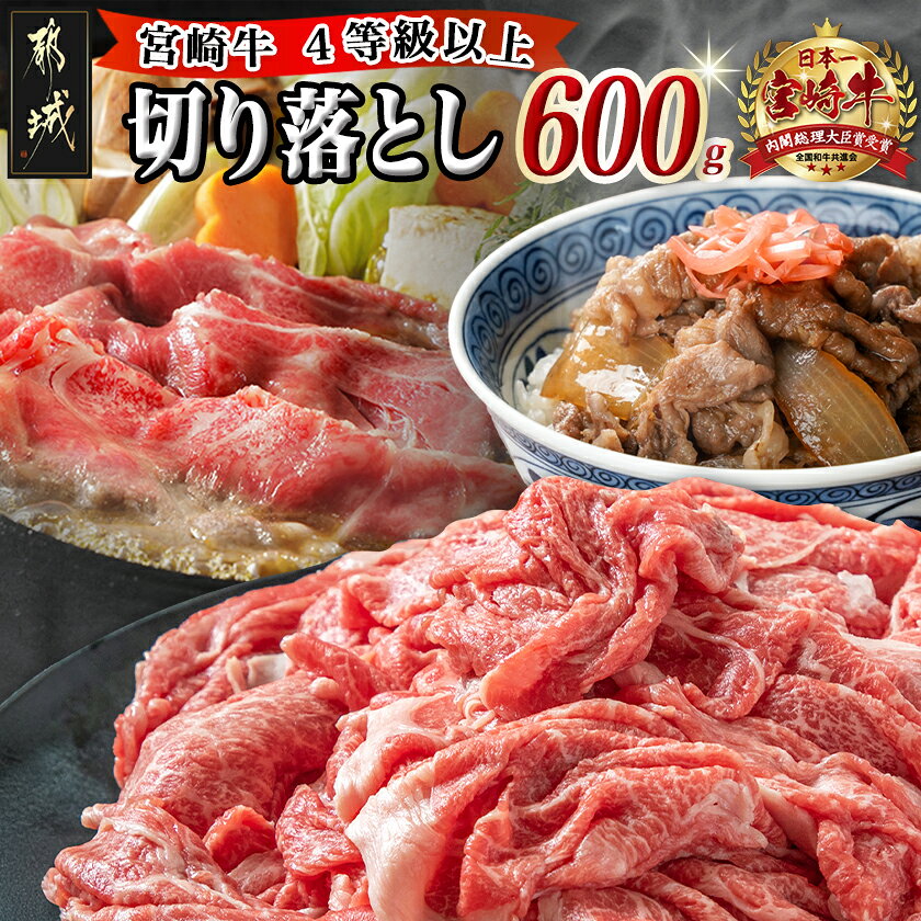 【ふるさと納税】宮崎牛切り落とし600g - 国産黒毛和牛 ブランド牛 牛肉 宮崎牛切落とし肉 300g×2パック 計600グラム 牛丼や炒め物などに 万能 beef 冷凍 国産/九州産/宮崎県産 送料無料 89-006-600g【宮崎県都城市】